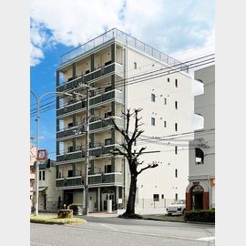 春日野道駅より徒歩10分 築5年6ヶ月 6階建の賃貸物件
