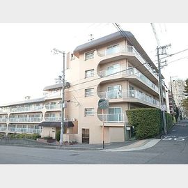 スターハイツ住吉川の賃貸物件