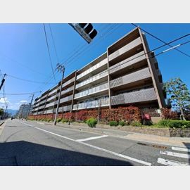 鳴尾・武庫川女子大前駅より徒歩11分 築16年5ヶ月 5階建の賃貸物件