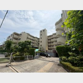 打出駅より徒歩10分 築41年7ヶ月 5階建の賃貸物件