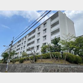 御影駅より徒歩24分 築55年9ヶ月 5階建の賃貸物件
