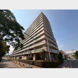 今津駅より徒歩9分 築31年5ヶ月 13階建の賃貸物件