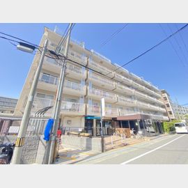 打出駅より徒歩11分 築52年11ヶ月 8階建の賃貸物件