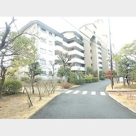 芦屋駅より徒歩14分 築43年7ヶ月 8階建の賃貸物件