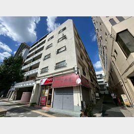 住吉ハイツ（Ｉ） 築51年7ヶ月の賃貸物件