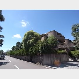 ベルコート芦屋の賃貸物件