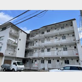大石駅より徒歩2分 築55年8ヶ月 4階建の賃貸物件