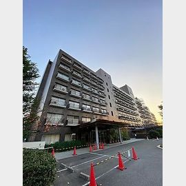 メゾン甲子園南棟 築58年3ヶ月の賃貸物件