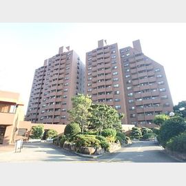 メゾン白鶴 築47年10ヶ月の賃貸物件