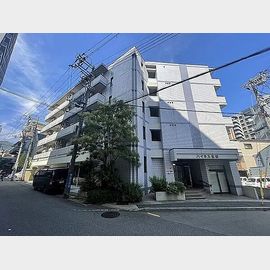 ハイネス生田 築29年10ヶ月の賃貸物件