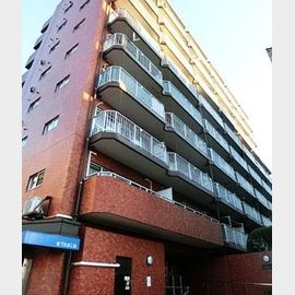 マンション中落合ガーデニア 9階 築43年8ヶ月の賃貸物件