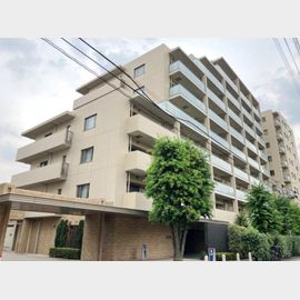 プラウド志村坂上ディアージュの賃貸物件