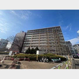 ステラテラスの賃貸物件