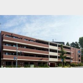 プレール・ドゥーク成増 1階 築8年6ヶ月の賃貸物件