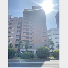 パレステュディオシンシア文京千石 10階 築22年3ヶ月の賃貸物件