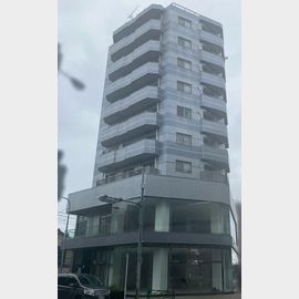 メイプルヒルズ滝野川 9階 築33年7ヶ月の賃貸物件