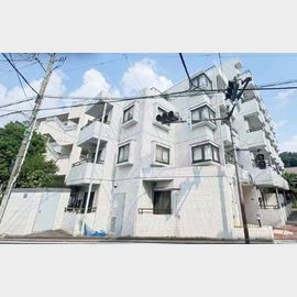 豊島園フラワーハイツ 4階 築38年6ヶ月の賃貸物件