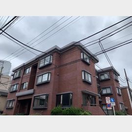 ラフォーレ桜台 3階 築42年6ヶ月の賃貸物件