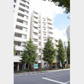 エール文京 3階 築44年1ヶ月の賃貸物件