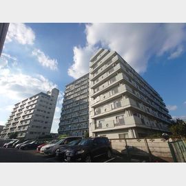 富士見台ファミリーマンション 7階 築53年2ヶ月の賃貸物件