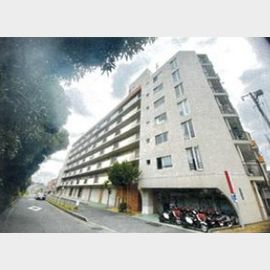 下赤塚駅より徒歩10分 7階 築51年の賃貸物件