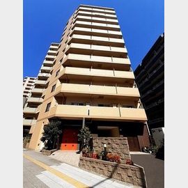 サンガーデン 11階 築9年9ヶ月の賃貸物件