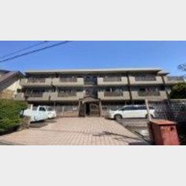 グレース目白 1階 築34年3ヶ月の賃貸物件