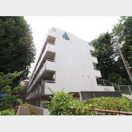 トップ成増Ｎｏ３ 1階 築37年7ヶ月の賃貸物件