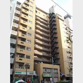 シティハウス西大久保 3階 築44年8ヶ月の賃貸物件