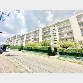 若木住宅３号棟の賃貸物件