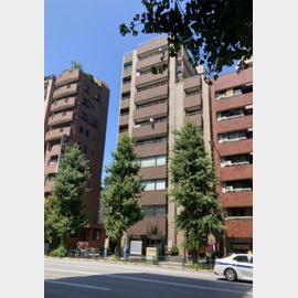 帝金ビル 5階 築44年5ヶ月の賃貸物件