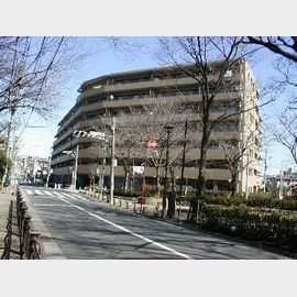 KS桜川 6階 築26年の賃貸物件