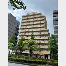江戸川橋駅より徒歩3分 8階 築43年11ヶ月の賃貸物件