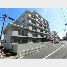 三高・徳丸スカイハイツ 1階 築49年の賃貸物件