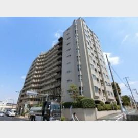 野方駅より徒歩10分 11階 築52年2ヶ月の賃貸物件