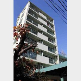 池之端マンション 2階 築52年9ヶ月の賃貸物件