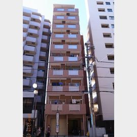 パレドールシュロス千駄木 9階 築44年11ヶ月の賃貸物件