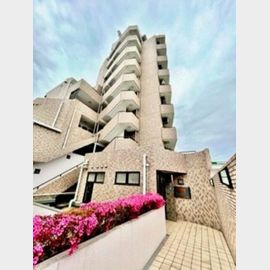 ライオンズマンション西が丘南の賃貸物件