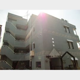 ダイホープラザ桜台 3階 築33年10ヶ月の賃貸物件