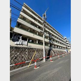 メゾン・ド・パラディ 4階 築41年9ヶ月の賃貸物件