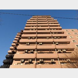 本蓮沼駅より徒歩5分 11階 築31年9ヶ月の賃貸物件