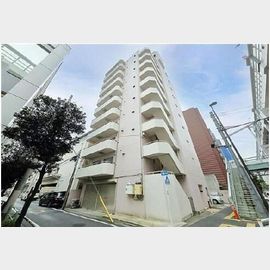 大山ダイヤモンドマンション 9階 築46年9ヶ月の賃貸物件