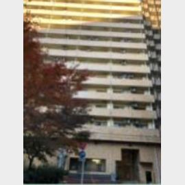 東池袋駅より徒歩5分 7階 築43年9ヶ月の賃貸物件