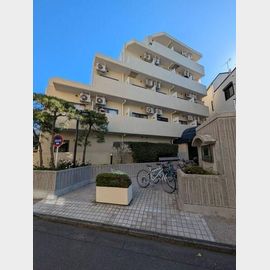 ライオンズマンション文京第３ 3階 築43年3ヶ月の賃貸物件