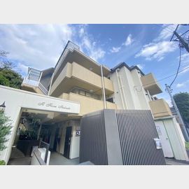 東武練馬駅より徒歩14分 4階 築39年10ヶ月の賃貸物件