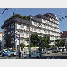 蓮根駅より徒歩9分 7階 築49年5ヶ月の賃貸物件