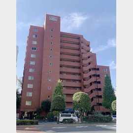 白山駅より徒歩3分 5階 築46年の賃貸物件