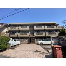 グレース目白 3階 築34年の賃貸物件