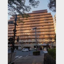 都庁前駅より徒歩5分 10階 築47年1ヶ月の賃貸物件