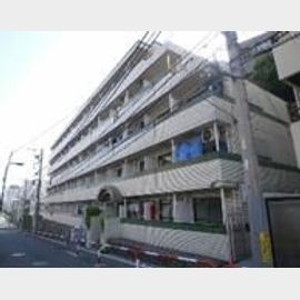 メゾン・ド・パラディ 2階 築41年9ヶ月の賃貸物件